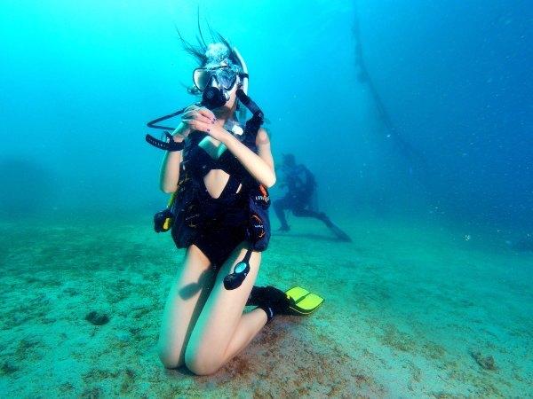 大航海之路