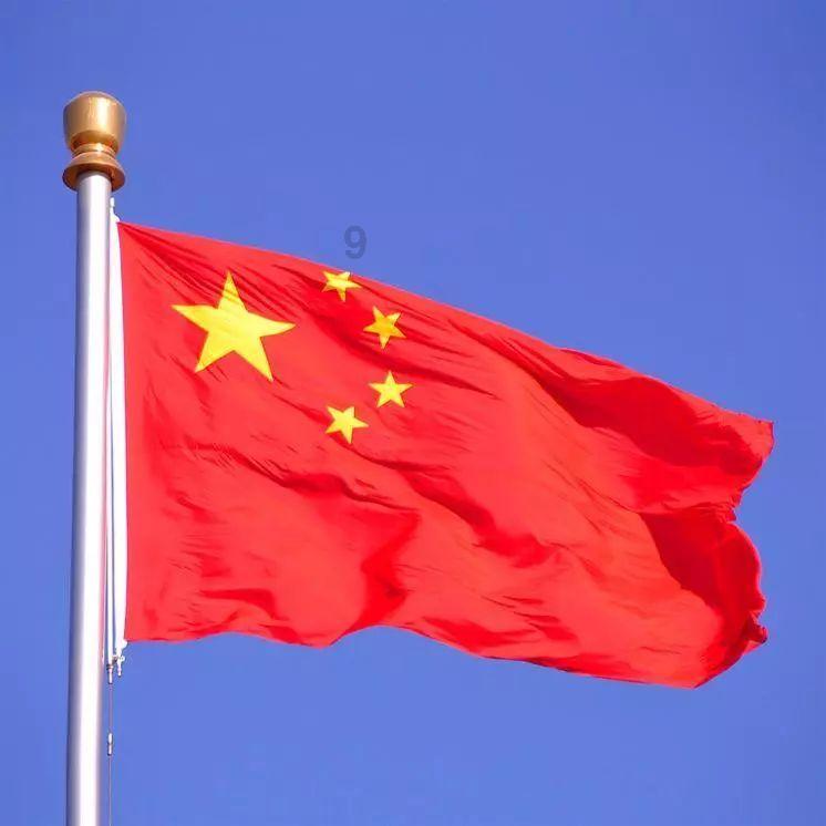 热门话题红迪网 - 探讨乌龟的龟甲腐烂了,要用手去抠掉他那个腐烂的地方吗?热点、聚集意见的社区平台