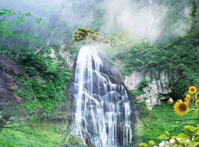 迷失在荒野