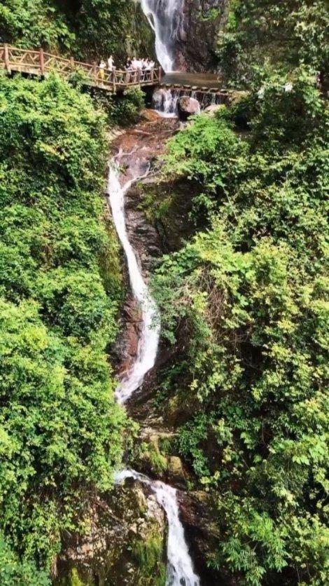 小猫钓鱼正版下载中文版
