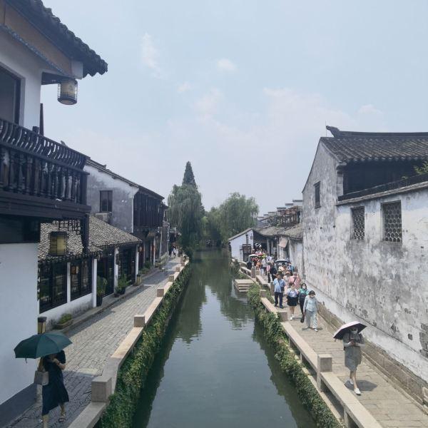 茂密丛林逃生